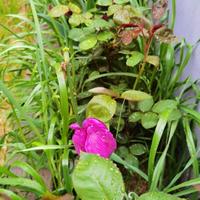 用户7489271638456头像