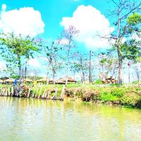 驲芜洳屿谙沅头像