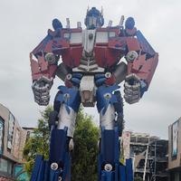 外向风声aqM头像