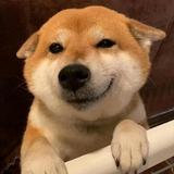v哈哈4b4B头像