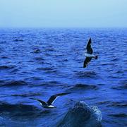 第五维的个人资料头像