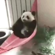 玖玖passion的个人资料头像