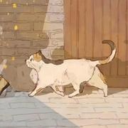 灰色心情的个人资料头像