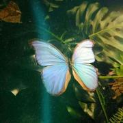 雪莉酒实验室的个人资料头像