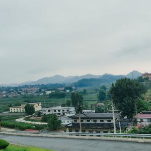 高级枫叶s头像