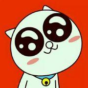 傲娇的白痴的个人资料头像