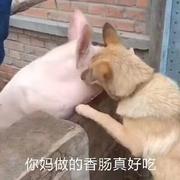 Flucker的个人资料头像