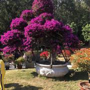 润华智联万文的个人资料头像