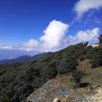 用户3201300731715头像