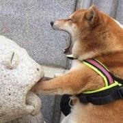 不吃辣541的个人资料头像