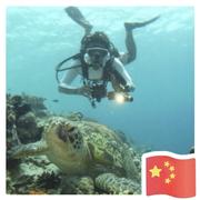 大羽的个人资料头像