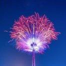 一念尘雪的个人资料头像