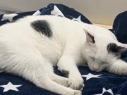 yamyee的个人资料头像