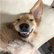 今天暴涨的个人资料头像