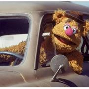 萧宵的个人资料头像