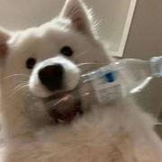 AAA蔬菜批发菜瓜的个人资料头像