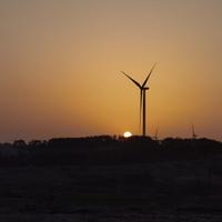 我自流浪到天涯头像