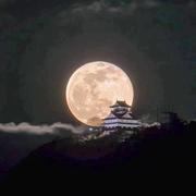 成意的个人资料头像