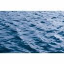 Push的个人资料头像