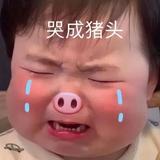 码花花99头像