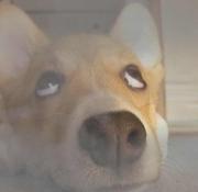 天才第一步967的个人资料头像