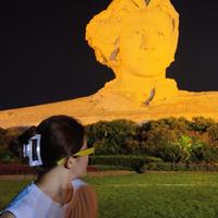 中环一匹狼头像