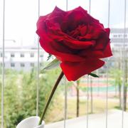 米奇346的个人资料头像