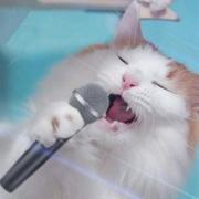 彩色光盘的个人资料头像