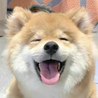 用户2711336916137头像