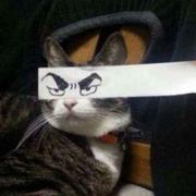 溯源的个人资料头像