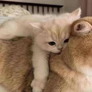 Mikey823的个人资料头像