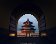 MiltonL的个人资料头像