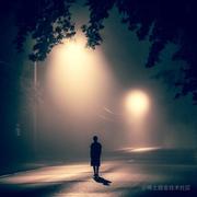 Mengshu的个人资料头像