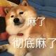 我的头很大吗头像