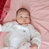 清爽星星L9q头像