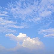 x逆舟x的个人资料头像