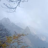 故乡的寂归头像