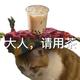 红茶三分糖 · 奥迪S4车主·车龄5年头像