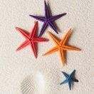 似初i同志的个人资料头像