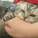 用户9192756207163头像