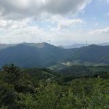 明红6825头像