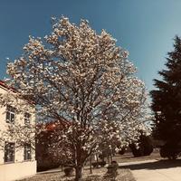 嗯卡通空间头像