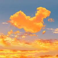 溃疡专业户头像