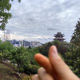 LL100595150头像