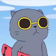 SerpBase的个人资料头像