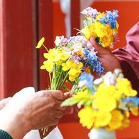 曲项向天歌2020头像