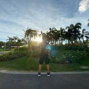 Lippman的个人资料头像