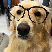 程序yuan哈哈哈哈哈哈哈哈的个人资料头像