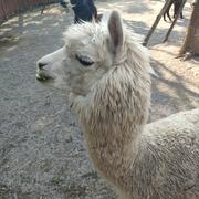 宝贝不乖的个人资料头像