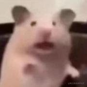 Tantanz的个人资料头像
